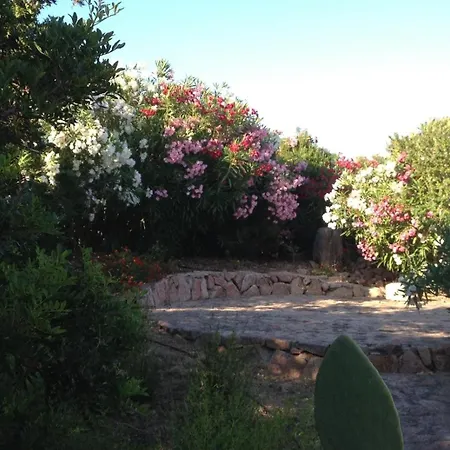 Delle Ginestre Villa *